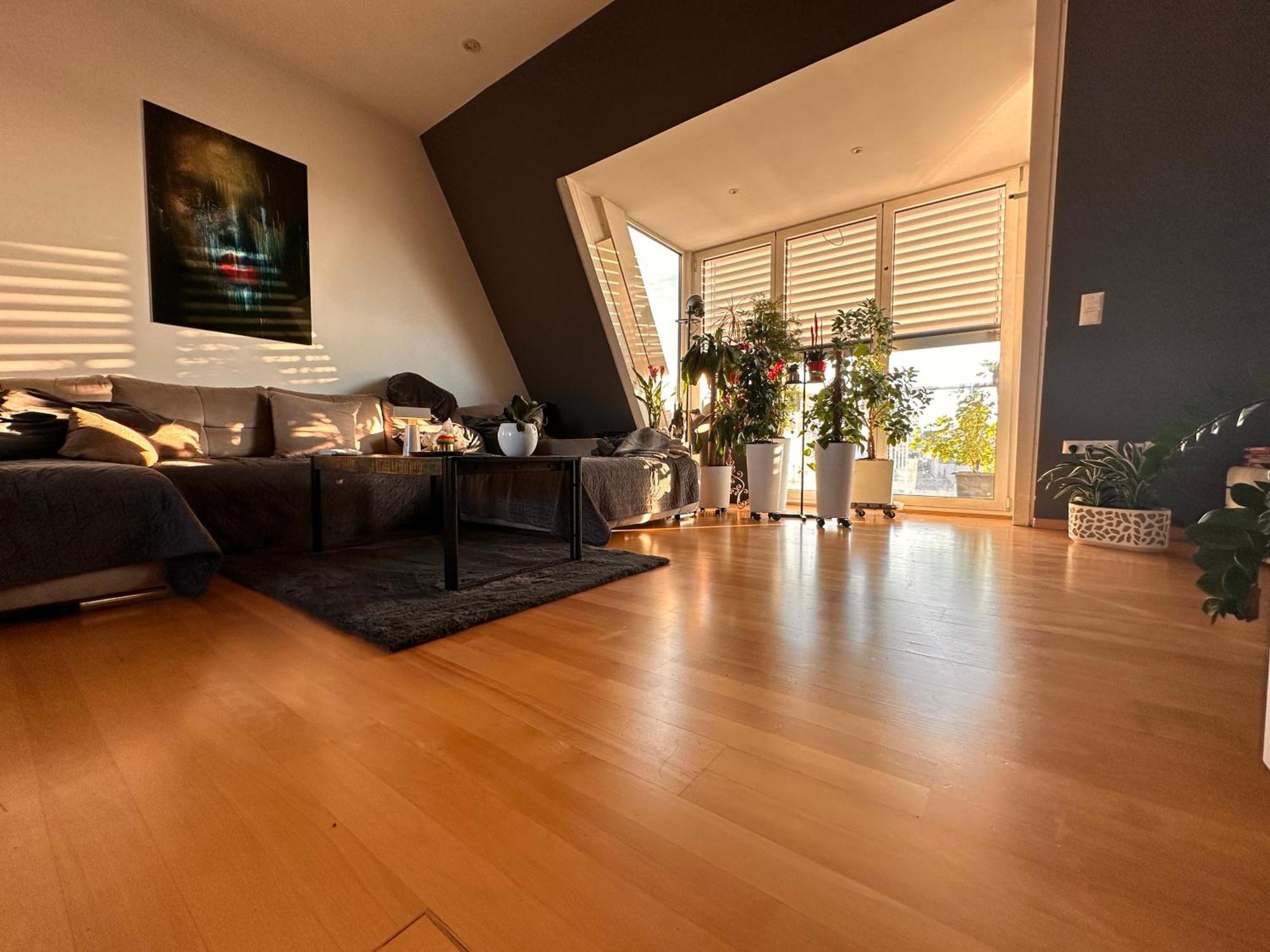 City-penthouse Mit 4 Terassen Und Whirlpool Apartament Viena